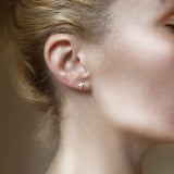 Manuela Igreja - Clove Studs