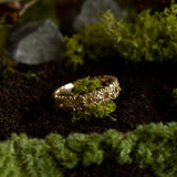 Olivia Ware - Daisy Band - New Beginnings