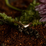 Benjamin Rose - Bespoke - Maia Band