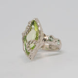 Sacreflux - Fairy Ring #2