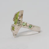 Sacreflux - Fairy Ring #2