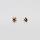 Serpent Rouge - Petites Étoiles