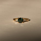 Benjamin Rose - Bespoke Australian Sapphire Trilogy Ring