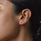 Benjamin Rose - Sapphire Bezel Studs