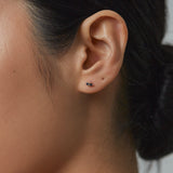 Benjamin Rose - Sapphire Duo Studs