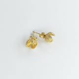 Manuela Igreja - Pittosporum Studs