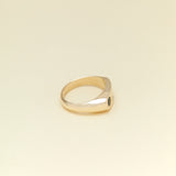 Jacqueline Ngyuen Jewellery - Sloped Wide Band Signum - 9ct Yellow Gold with Parti Sapphire & Diamond