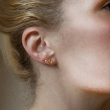 Manuela Igreja - Tiny Crassula Succulent Studs