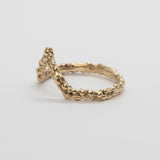 Serpent Rouge - La Flèche