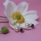 SGS Jewellery - Lolly Earrings