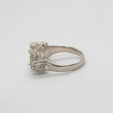 Manuela Igreja - Pittosporum Forest Ring