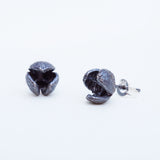 Manuela Igreja - Pittosporum Studs