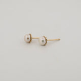 Comune - Large Pearl Studs