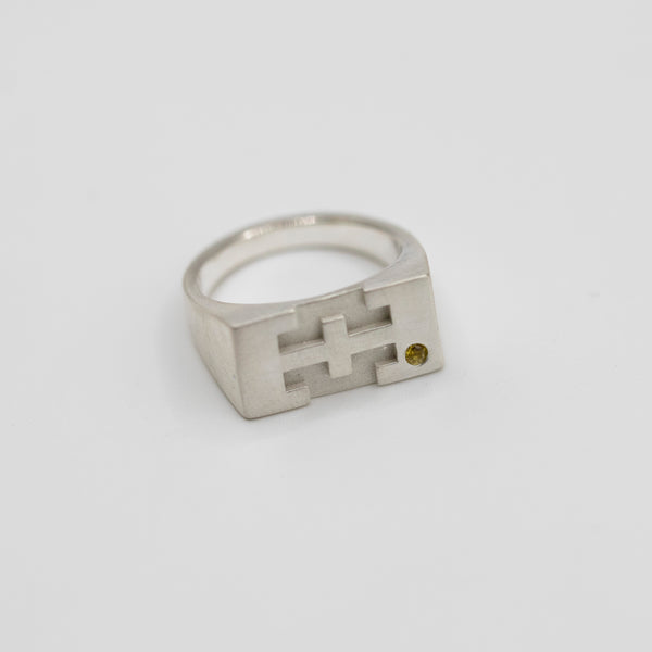 Patricia Chiuariu - She's Powerful - Ring iii