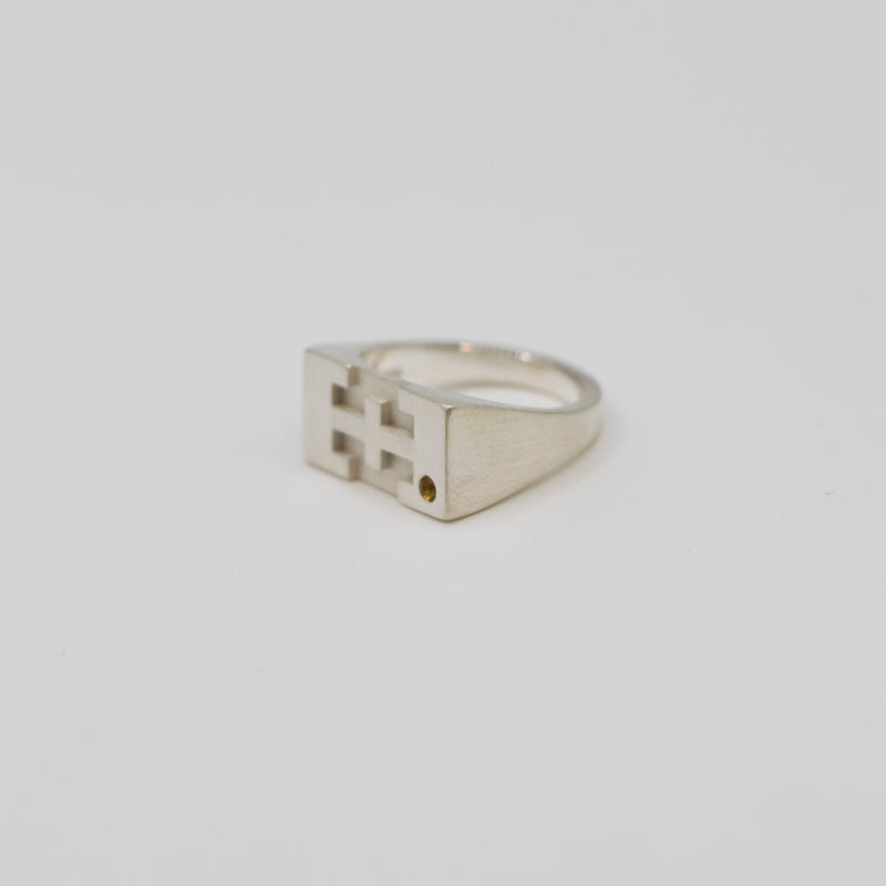 Patricia Chiuariu - She's Powerful - Ring iii