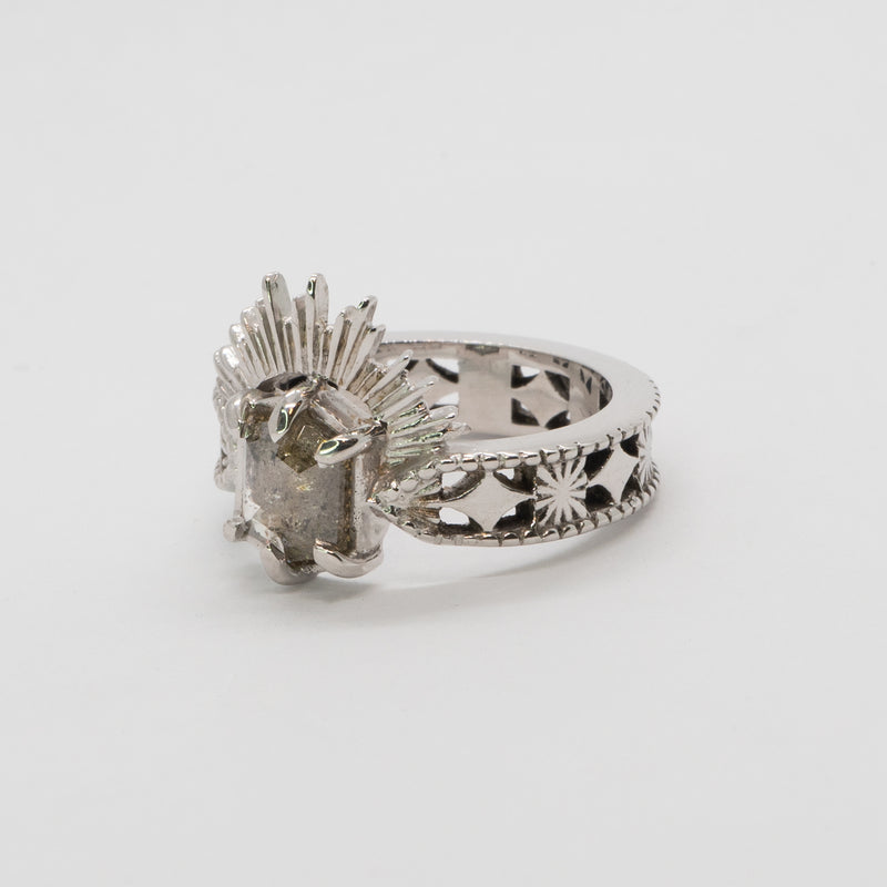 Halo & Hurt - The Erte Ring in 9ct White Gold with Salt and Pepper Hex Cut Diamond