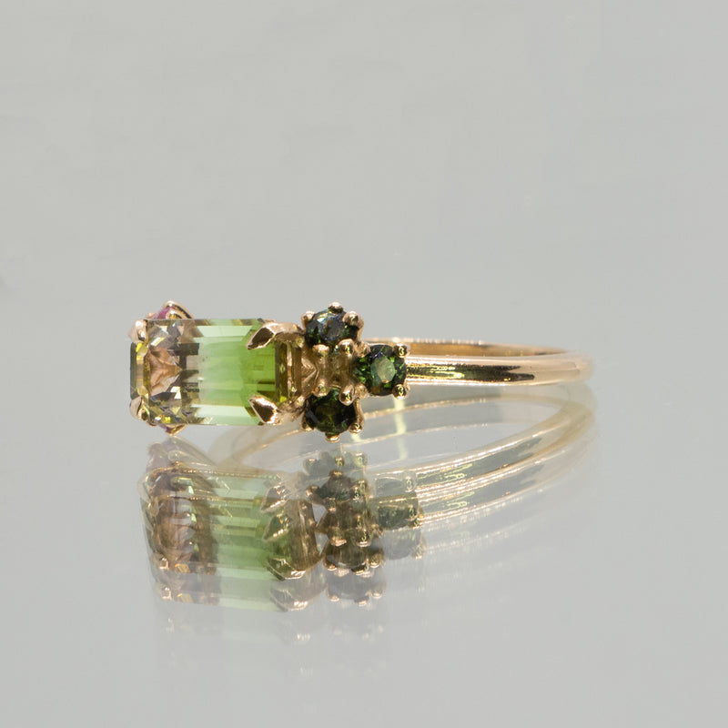 Une - Pink & Green Bicolour Tourmaline Ring