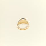 Jacqueline Nguyen Jewellery - Channel Set Signum - 9ct Yellow Gold with Australian Parti Sapphire
