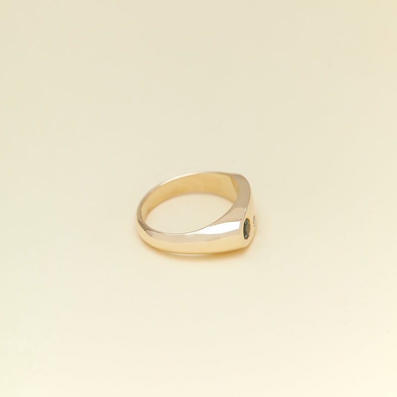 Jacqueline Ngyuen Jewellery - Sloped Wide Band Signum - 9ct Yellow Gold with Parti Sapphire & Diamond